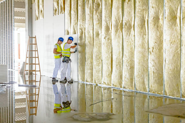 Best Residential Insulation in Newark, CA